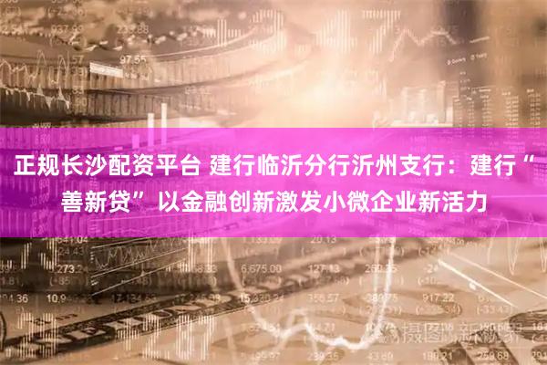 正规长沙配资平台 建行临沂分行沂州支行：建行“善新贷” 以金融创新激发小微企业新活力